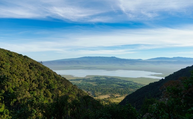 shutterstock 2431394191