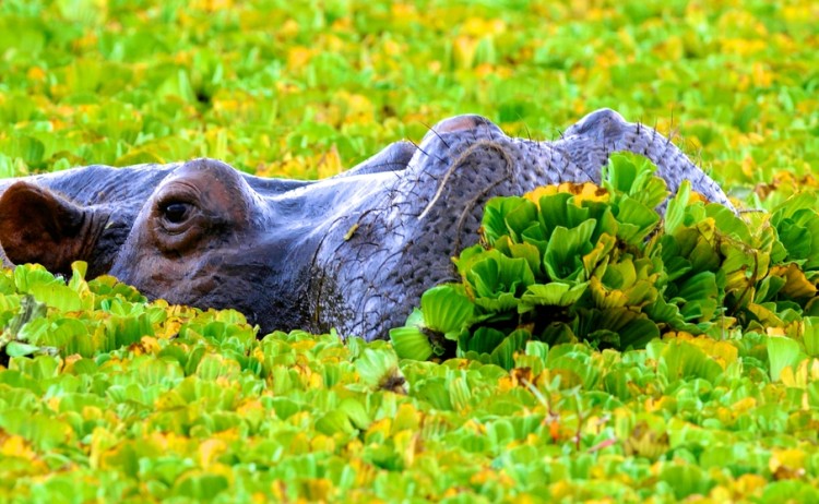 shutterstock 784691392