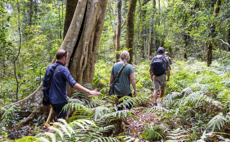 Tanzania untamed, guided walking safari