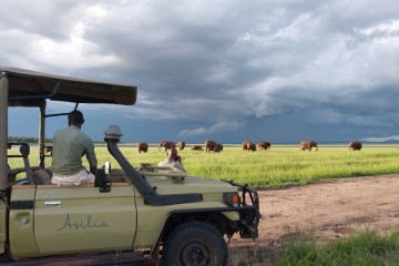 Tanzania Untamed: Crater, Plains & Chimpanzees