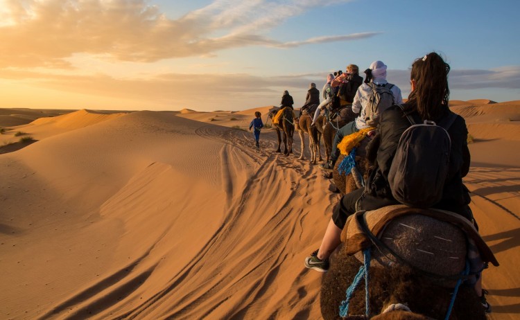 Taste of Morocco Camel ride