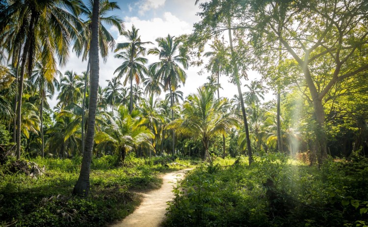 Tayrona colombia