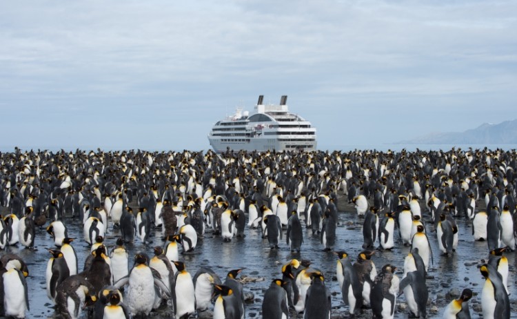 6480 Gold Harbour South Georgia with Ponant