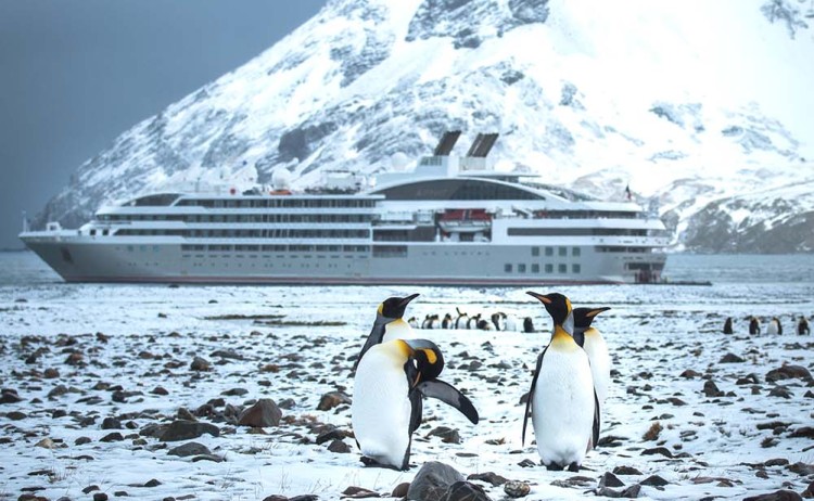 Fortuna Bay South Georgia Studio PONANT Leslie Levadoux