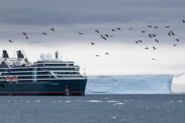 The Great White Continent | Pursuit