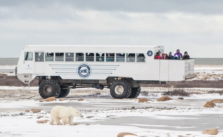 Frontiers North Polar exploration on wheels