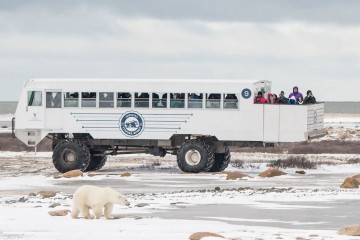 Town & Polar Bears | Tundra Buggy Lodge