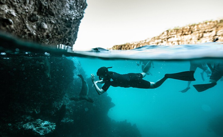 gardner bay espanola island