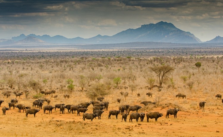 shutterstock 2218718673