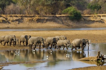 Two Rivers Walking Safari 