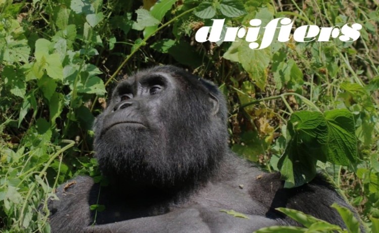 Uganda wildlife explorer v2