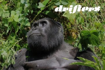 Uganda Wildlife Explorer: Small Group