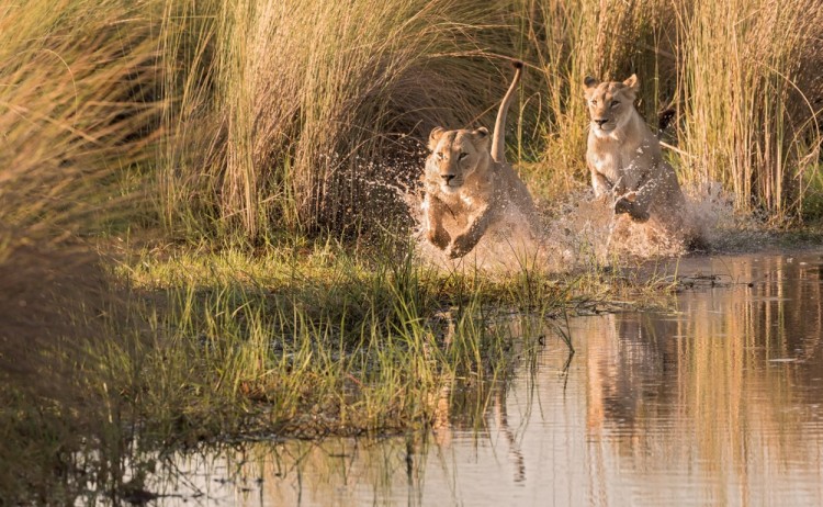 shutterstock 1265774035