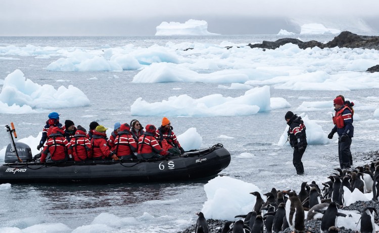 Ultimate Antarctic circle tour shore landing