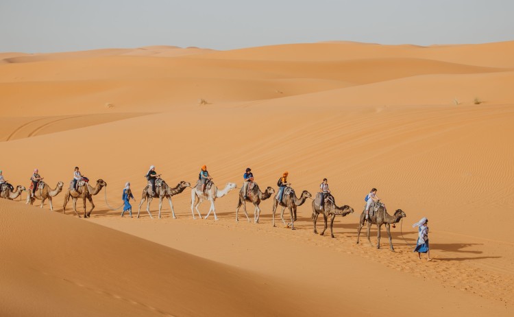 Sahara camel ride SMALL