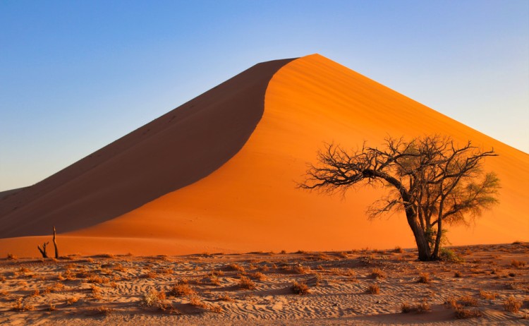 Dunes of Sossusvlei Namib Desert