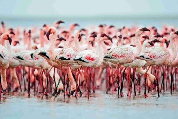 Ultimate Namibia: Small Group Tour