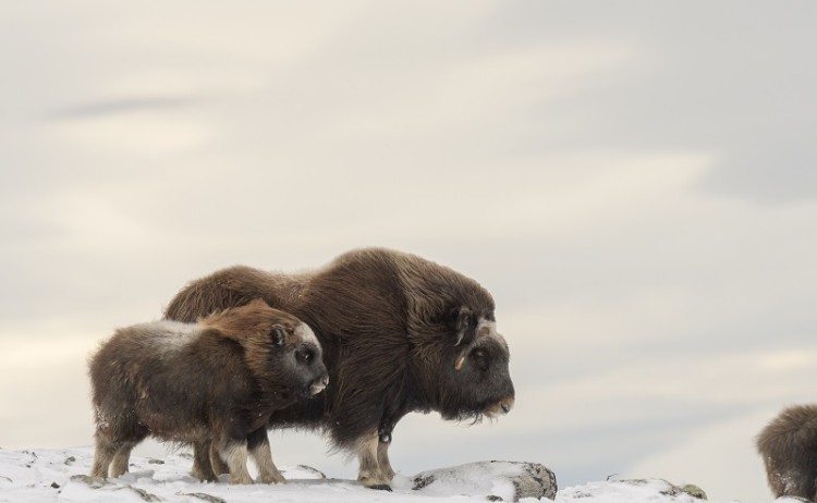 By Michele Aldeghi shutterstock 779661103 800