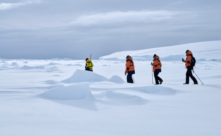 Unexplored Antarctica, guided excursions