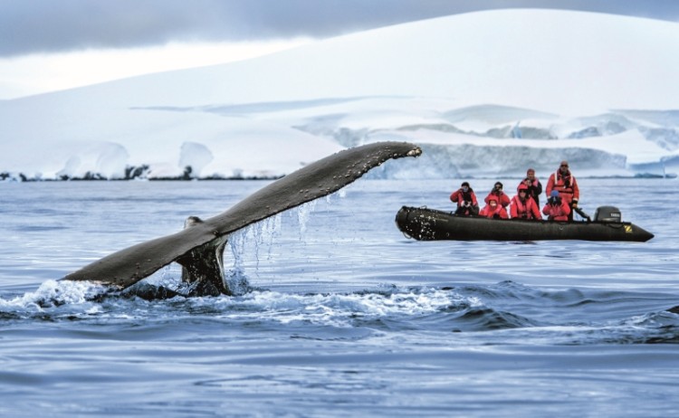 PONANT Antarctica