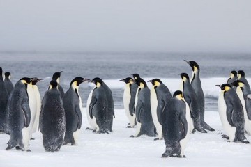 Unexplored West Antarctica between Two Continents