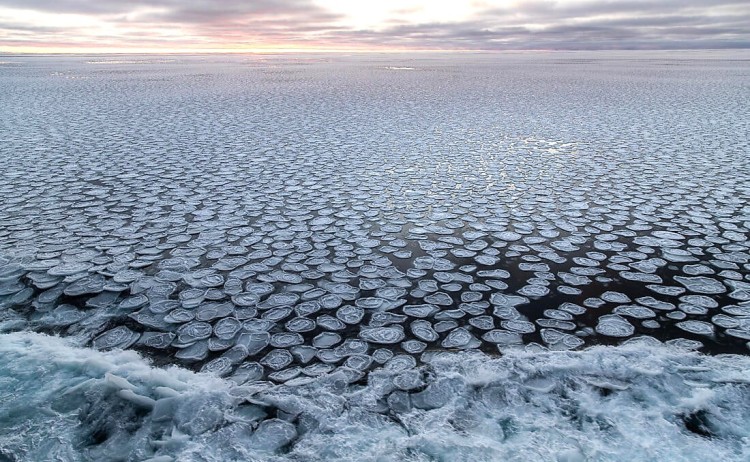 Unexplored Western Antarctica sea
