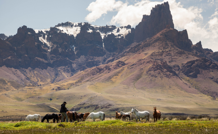 Horseback riding excursion