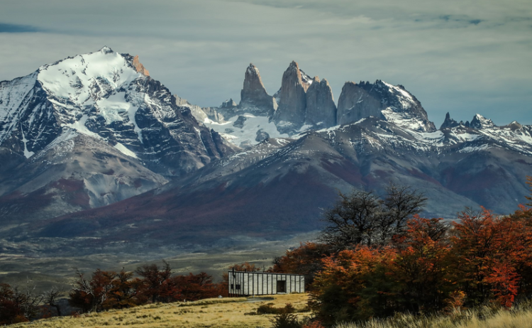 webimage E650C7A6 4E89 4AB1 BE03ABA67D500B6D