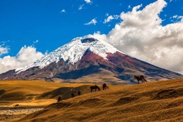 Unique Stay: Cotopaxi Volcano Hacienda 