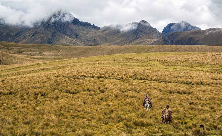 Horseback Riding