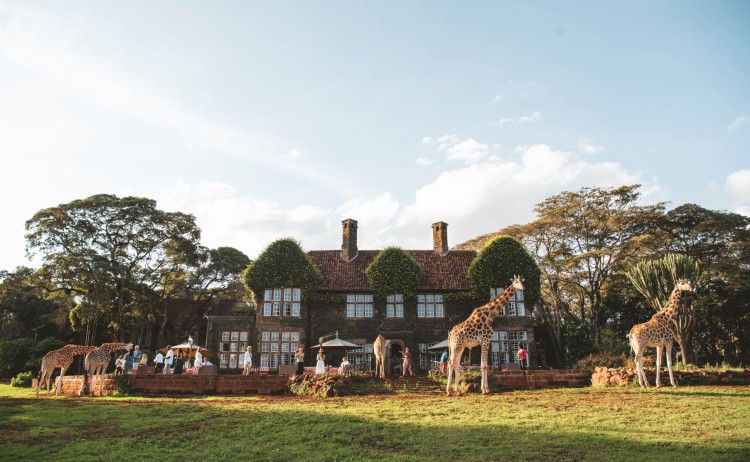 SMALL Giraffe Manor Afternoon Tea