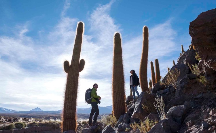 Catus Valley Tierra Atacama v2