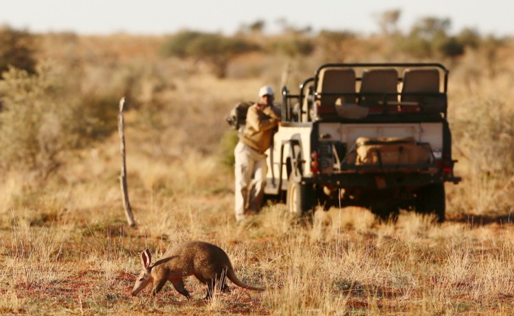 Safari Private vehiclesmall