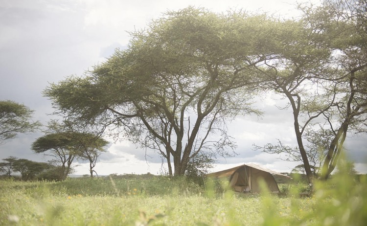 Wayo Trekking Camp 1