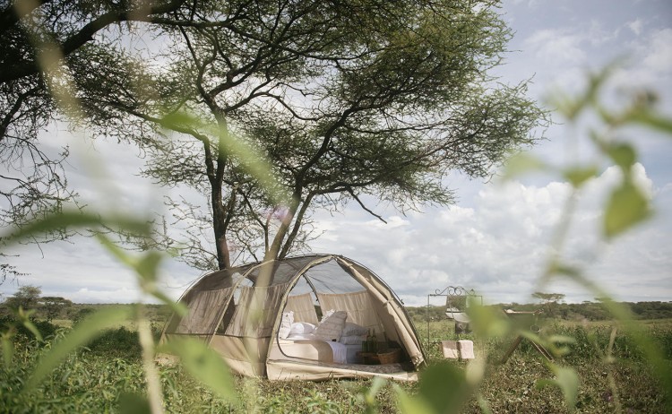 Wayo Trekking Camp 5