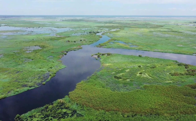 Chobe River Aerial