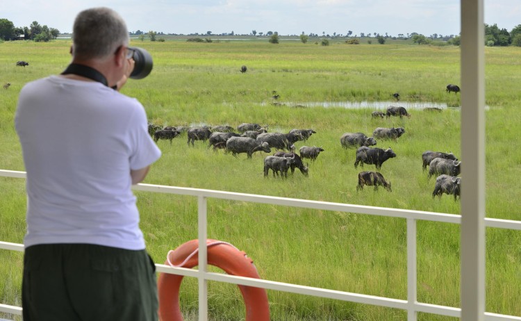 zq collection princess game viewing 1