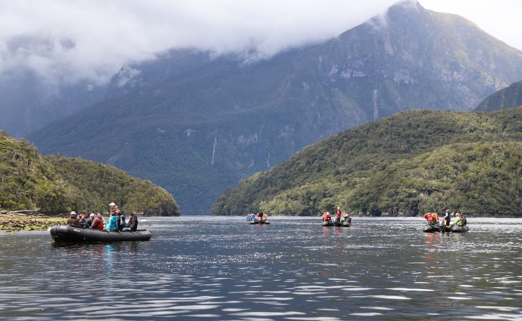 ZodiacsThompson Sound AR.Smith