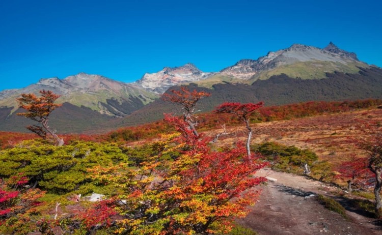 Patagonias Tierra del Fuego National Park Argentina v2