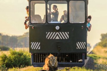 Victoria Falls and Hwange in depth