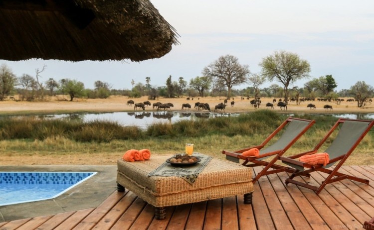 Bomani Tented Camp v2