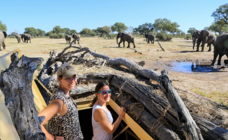 Imvelo Safari Lodges Bomani climbing into the Look Up at Stoffies pan v2