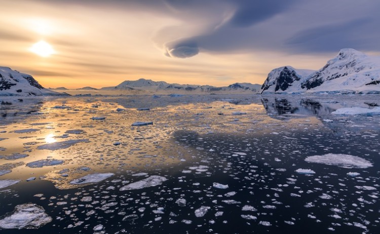 Travel to Antarctica 9