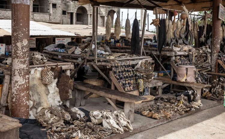 West Africa Voodoo market