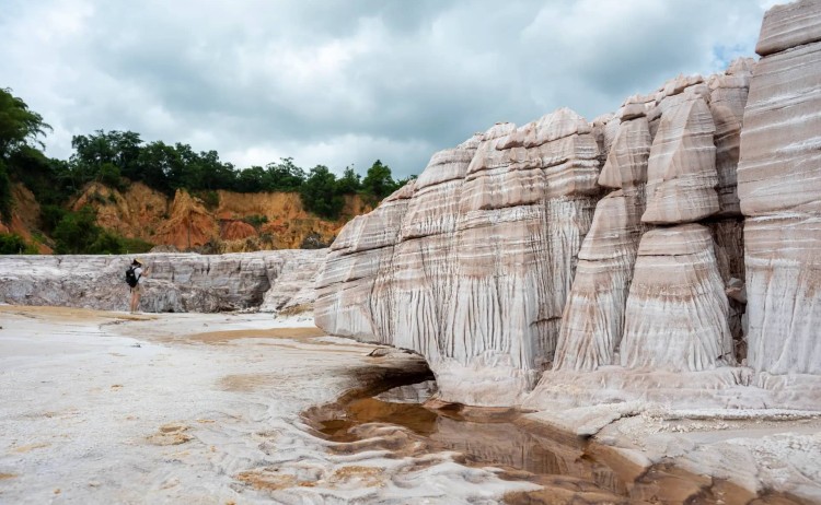 West Africa cruise Swam hellenic Salt Glacier