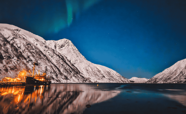 MS Stockholm Whales Northern Lights 9