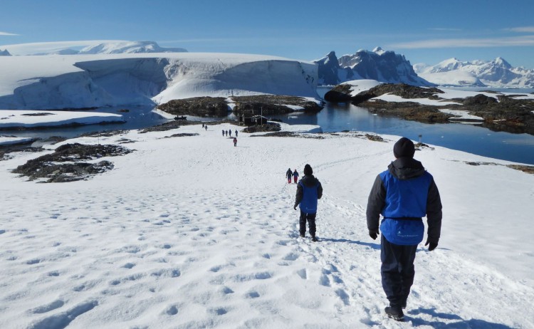 walking in Antarctica Aurora