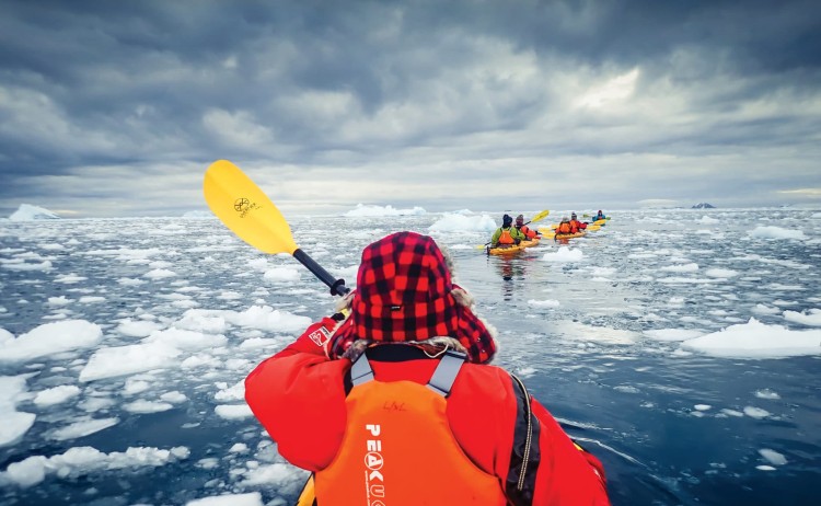wild antarctica kayaking scaled Aurora