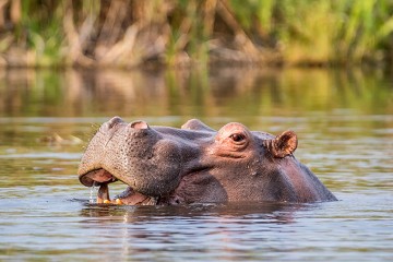 Etosha to Victoria Falls Adventure: Small Group
