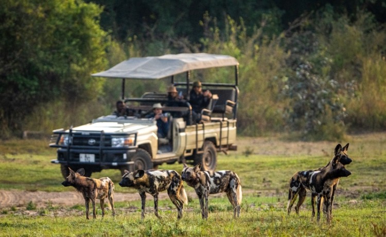 Nkwali Camp Activity 3 Zambia sm